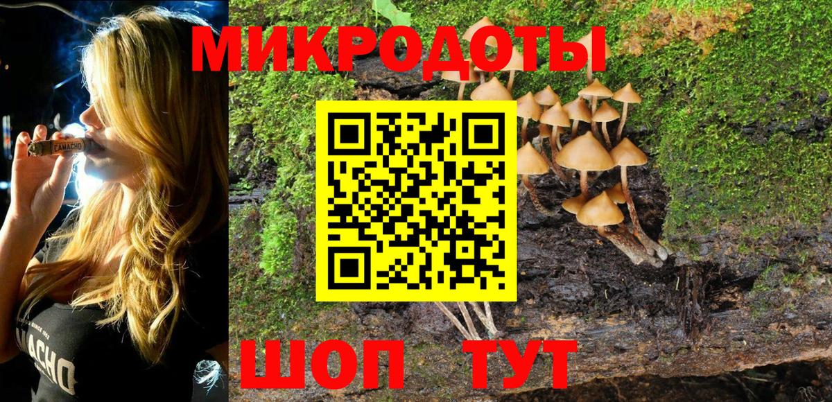 Галлюциногенные грибы Psilocybe Назарово